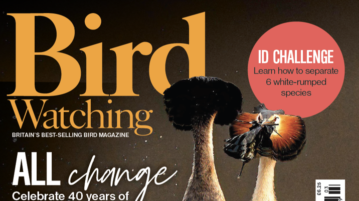 Bird Watching celebrates milestone