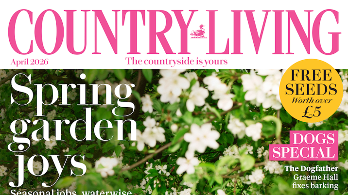 Country Living UK unveils brand refresh for its fifth decade