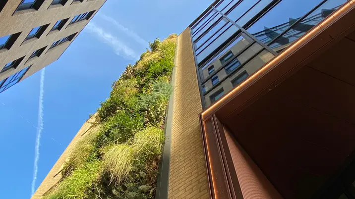 IOP Publishing reduces carbon emissions