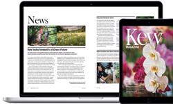 Kew Launches Complete Digital Archive