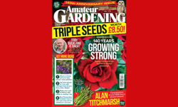 Gardening magazine celebrates 140th anniversary