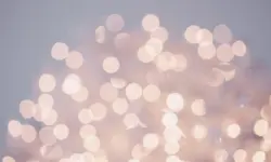 Readers raise £672,000 for The Telegraph’s Christmas Charity Appeal 2025