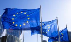 Draft EU legislation clamps down on political ads on social media
