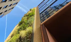 IOP Publishing reduces carbon emissions