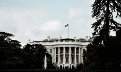 Fight! Fight! Fight!